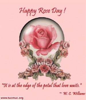 national girlfriend day,rose,loved,happy,day,images,pink,red,pictures,white,read