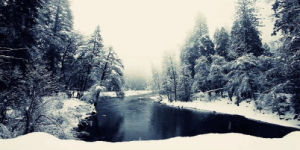 nature,landscape,snow,winter,snowing