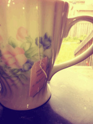 shakespeare,pretty,morning,tea,mug,floral,tea bag