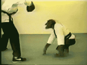 Гифка обезьяна моно гиф картинка, скачать gif на GIFER