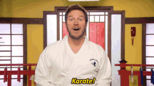 karate,parks and recreation,chris pratt,andy dwyer,the johnny karate super awesome musical explosion show,7x10,johnny karate