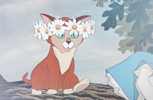 cat,disney,flowers,alice in wonderland,lewis carroll