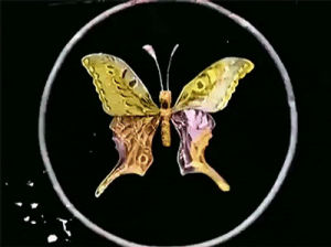 butterfly,silent film,1900s,art nouveau,vintage,film,retro,cinema,purple,insect,silent,path,turn of the century,early film,film history,belle epoque,gaston velle,hand tinted,the talion punishment,talion punishment