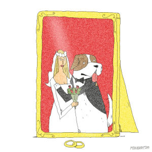 wedding,henry the worst,dog,lol,fox,fox adhd,marriage,henry bonsu,marry,animation domination high def