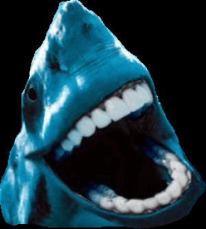 transparent,teeth,shark
