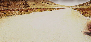 tumbleweed,empty,tumbleweeds,barren,ghost town,lonesome,desierto,lonely,dreary,reactions,bare,desolate,bleak