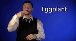 sign language,eggplant,asl,american sign language
