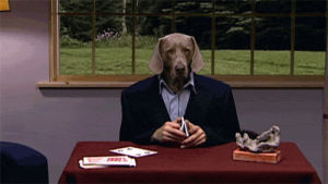 weimaraner,art,wtf,dogs,bored,deal with it,whatever,tbt,contemporary art,steve martin,art21,throwback thursday,throwbackthursday,william wegman,dogs playing cards,art in the twenty first century