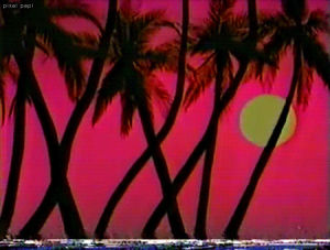 vhs,aesthetic,tropical,80s,sunset,pastel,by me,palm trees