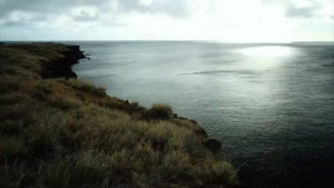 hawaii,timelapse,coast