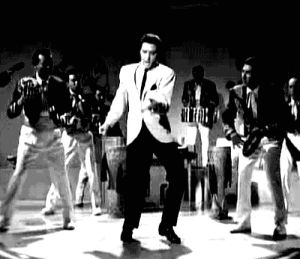 black and white,elvis,music,dance,video,animal,legend,funny pics,sway,move on