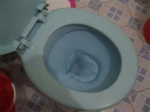 flush,images,pictures,toilet,becuo