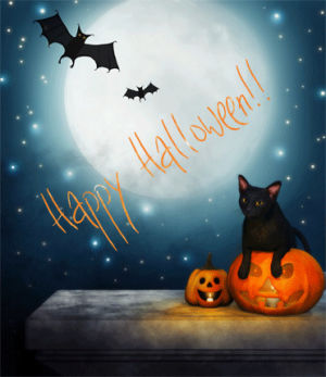 halloween,happy halloween,fantasy,pumpkin,i love halloween,fantasy art,art,black cat,festive