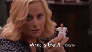 leslie knope,parks and recreation,what,amy poehler,confused