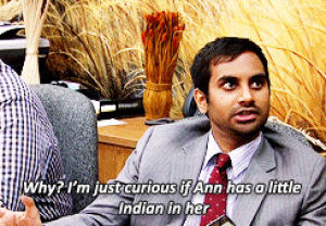parks and recreation,parks and rec,stuff,500,tom haverford