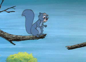 the sword in the stone,disney,jump,squirrel