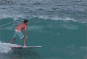 surfing,backflip,bay