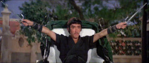 shaw brothers,kung fu,martial arts,ready,hey,heroes of the east,challenge of the ninja