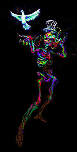 skeleton,spooky,october,2spooky4me