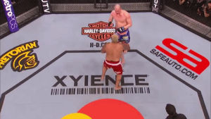mark hunt,knock out,ufc,mma,punch,ko,out cold,hard hitter,lazer beams
