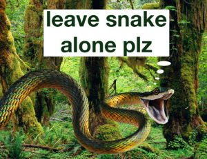 anaconda,nicki minaj,snake,leave snake alone plz