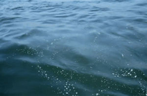 water,ocean,bubbles,sea,waves