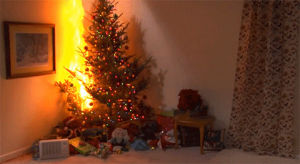 on fire,christmas,fail,fire,tree