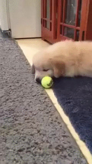 playing,tennis,time,ball