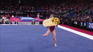 burrito,gymnastics