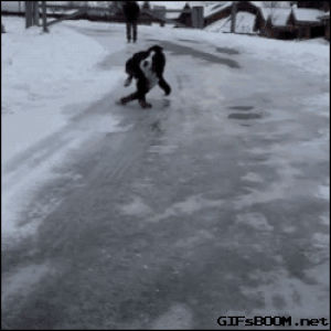 sliding,dog,snow