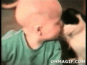hug,kiss,funny,cat,animals,friends,baby,adorable,cuddle