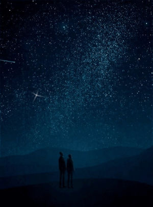 night,starry night,night sky,sparkling star,science