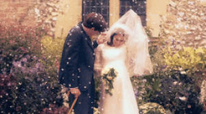 wedding,the theory of everything,eddie redmayne,stephen hawking,felicity jones,bride,theory of everything,groom