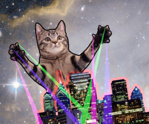cat,space,city,attack,lasers