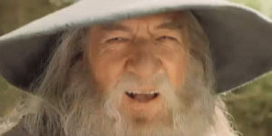 gandalf,reaction,lord of the rings,laughing,lotr,head bob
