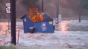 dumpster fire,dumpster,flood