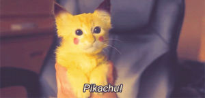 miau,cat,pokemon,kitten,pikachu,meow,kittens
