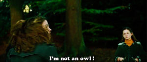 hermione,harry potter,gof