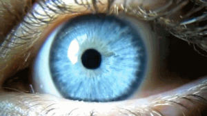 blue eyes,eye