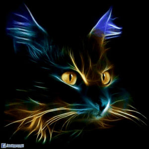 cat,kitten,psychedelic,cute,neon,dark,light,trippy,fractal,flame,distort,visual