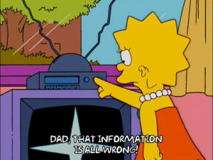 tv,lisa simpson,episode 3,angry,season 14,lisa,information,14x03,sell