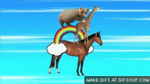 rainbow,application,hippo,horse,moment