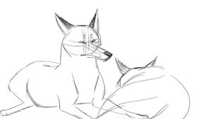 love,fox,2d animation,affection,foxes,linetest