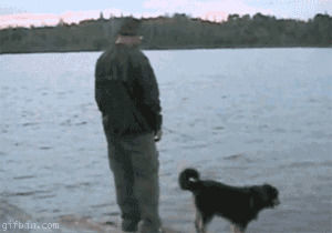 fisherman,falling,lake,dog,fail,kicking
