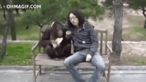 orangutan,gorilla,stealing,funny,animals,food,crazy,eating,shocked,guy