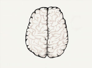 mix,brain,neuroscience,illustration,science,ge,the next frontier