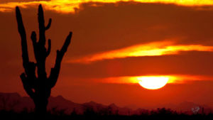 desert,sunset