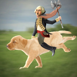 george washington,on my way,all of presidents,usa,puppy,adorable,battle,omw,chris timmons