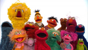 muppets,tv,hbo,sesame street,big bird,hbo now,sesame street on hbo,sesame street muppets