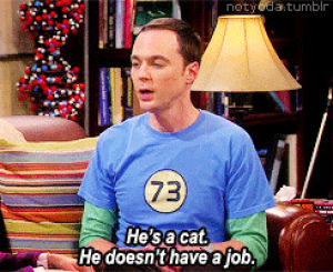 GIF season 1 the big bang theory sheldon cooper - animated GIF on GIFER ...